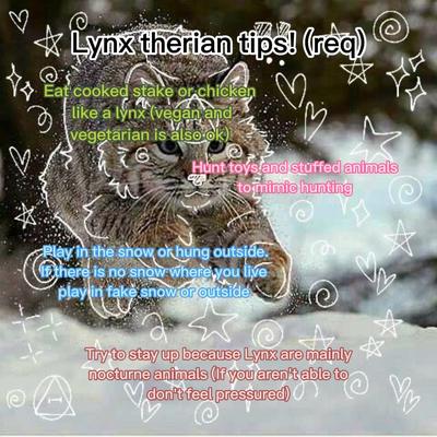 Lynx therian tips 