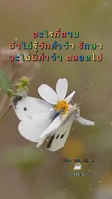 3วีดีโอ+คำคม