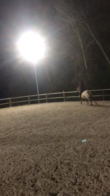 Moi à l’équitation 