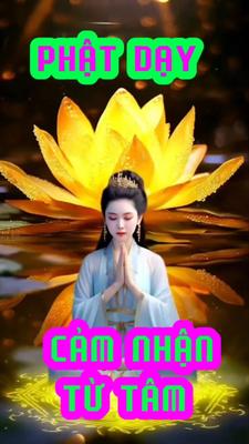 Triết lý cuộc sống 