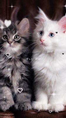ネオネオン