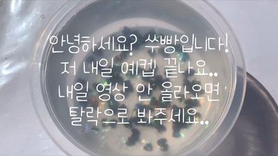 90팔 공약 !!