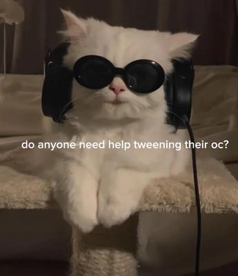 pls im bored