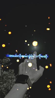 လိပ်ပြာလုံတယ်