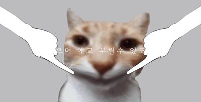 비터 초코 데코레이션 템플릿