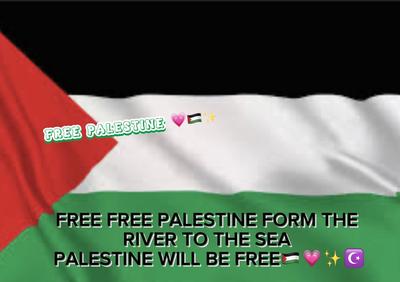 FREE PALESTINE 🇵🇸💗✨☪️