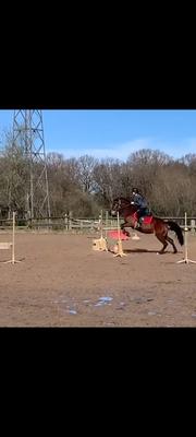 Quel galop me donnez