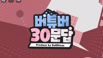 버튜버 30문답