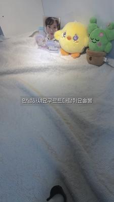 노잼반택깡