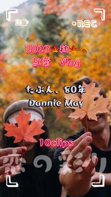 たぶん、80年 │ Dannie May