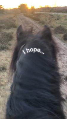 I hope your happy😁
