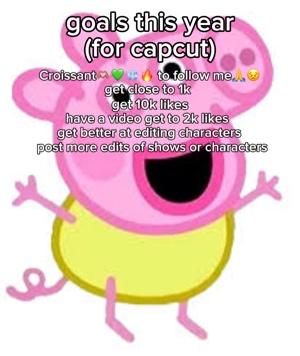 my capcut 2024 goals