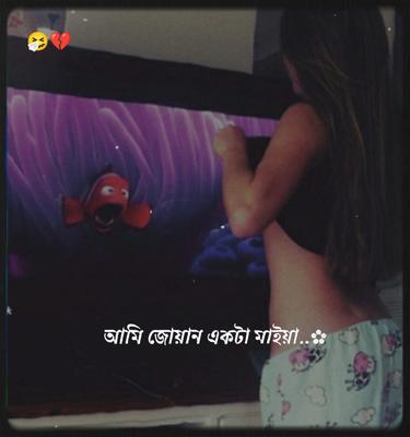 নারগিস এর গান রে ভাই