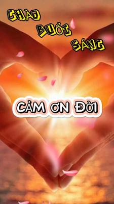 CẢM ƠN ĐỜI 