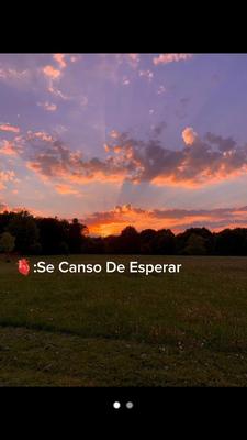 Se canso de esperar 