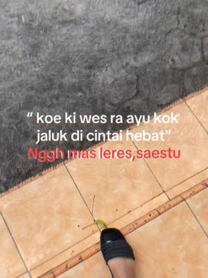 VERSI NO MIROR