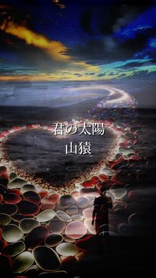 君の太陽/山猿