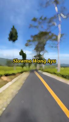 eee wong ayu