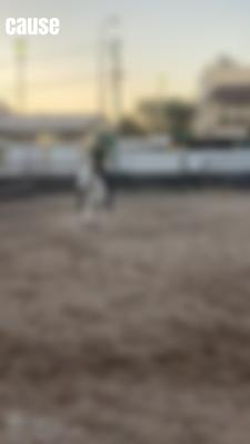 edit comp: lottie_eq
