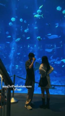 ขออยู่ในชีวิต