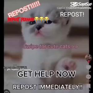 GUYS KEEP REPOSTING