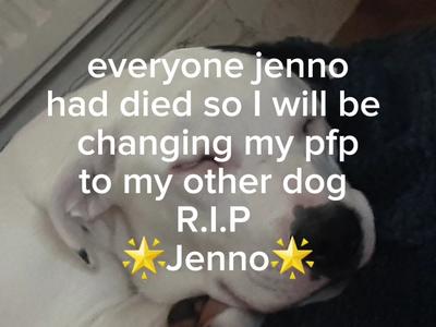 jenno has died