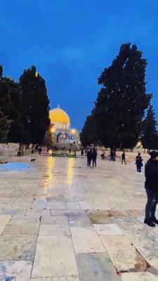 ترند جديد حيهم حار