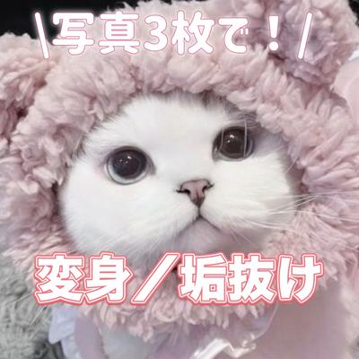 変身／垢抜け動画✨📷3枚！