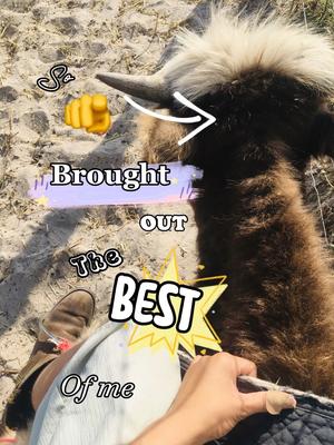 You brought out 