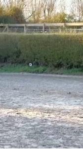 My 5th time jumping 