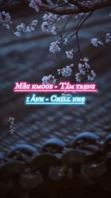 Mẫu hmoob chill 
