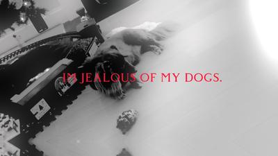 Jealous of my dogs.